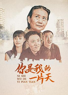 儿子 2008 电视剧 海报