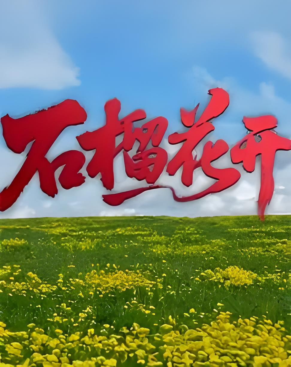 石榴花开 2026 纪录片 海报