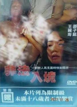 非法入境 1997 电影 海报