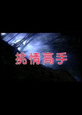 挑情高手 1995 电影 海报