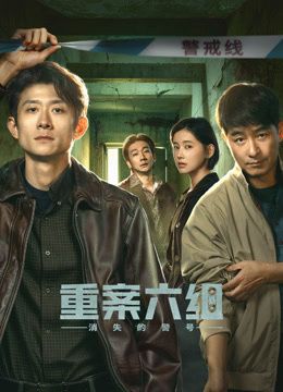 重案六组:消失的警号 2026 电视剧 海报