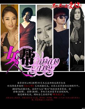 女人帮 2013 电视剧 海报
