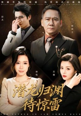 潜龙归渊待惊雷 短剧 海报