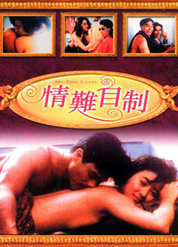 情难自制 1993 电影 海报
