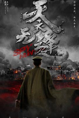 天衣无缝 2019 电视剧 海报