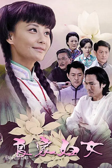 良家妇女 2010 电视剧 海报