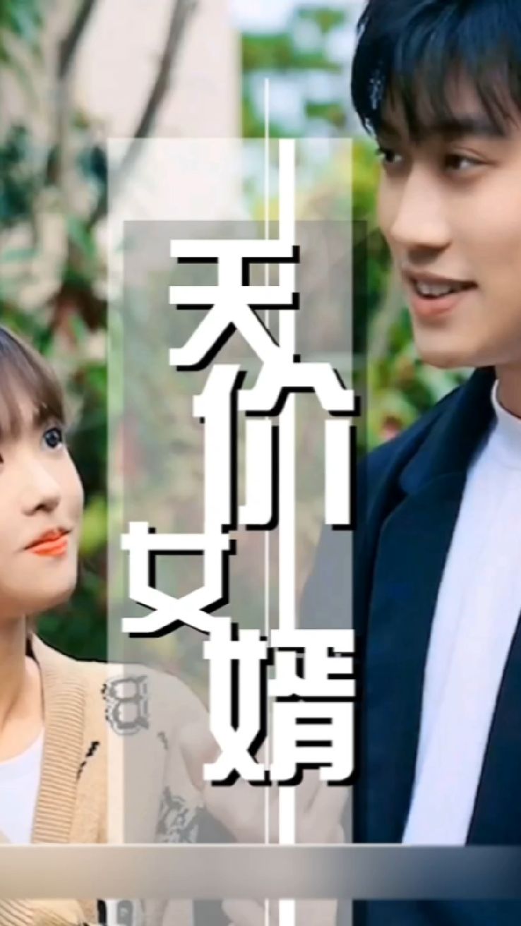 天价女婿 2023 短剧 海报