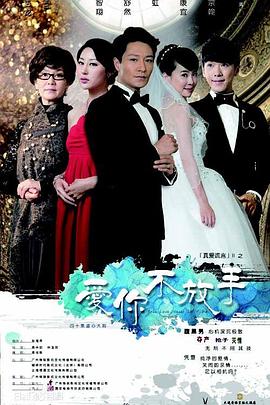 爱你不放手 2013 电视剧 海报