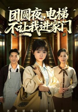 团圆夜，电梯不让我进家门 2026 短剧 海报