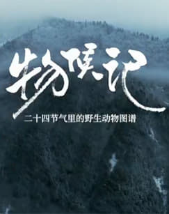 物候记 2025 电视剧 海报