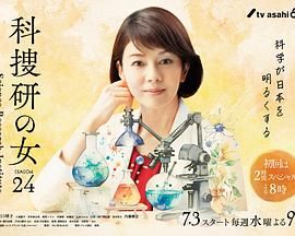 科搜研之女 第24季 2024 电视剧 海报