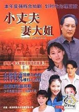 小丈夫 妻大姐 1999 电视剧 海报