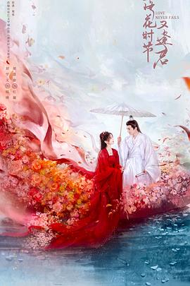 落花时节又逢君 2025 电视剧 海报