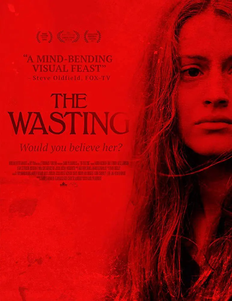 虚度青春 2017 电影 海报