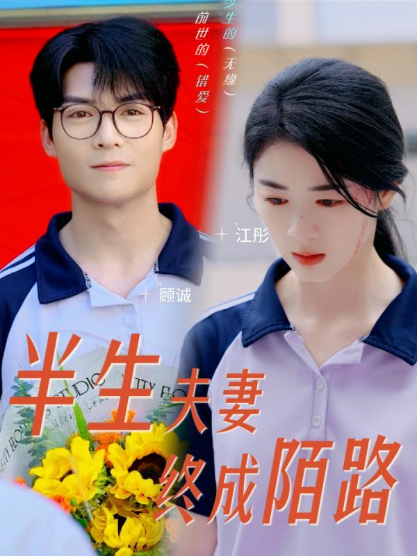 半生夫妻终成陌路 2024 短剧 海报