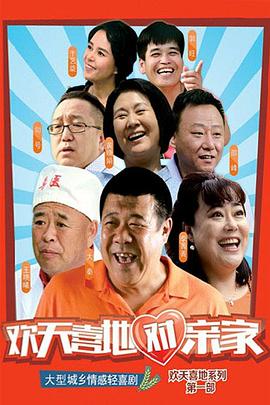 欢天喜地对亲家 2015 电视剧 海报