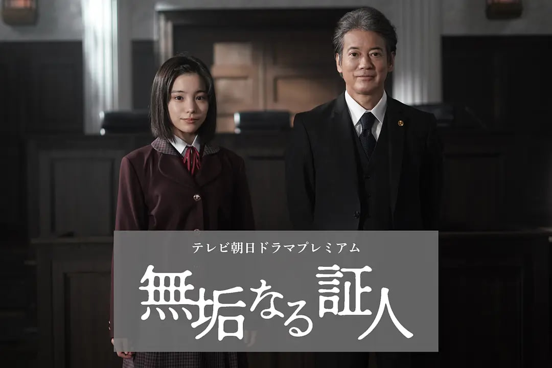 无垢的证人 2026 电影 海报