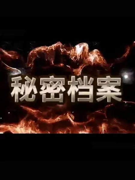 秘密档案 2023 电视剧 海报