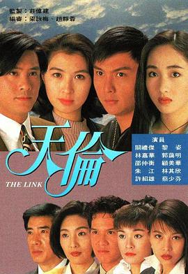 天伦 1993 电视剧 海报