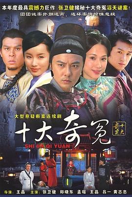 十大奇冤 2008 电视剧 海报