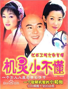 机灵小不懂 2001 电视剧 海报