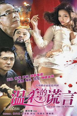 温柔的谎言 2010 电视剧 海报
