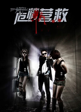 危情拯救 2009 电影 海报