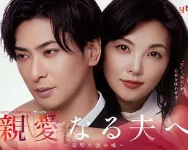 致亲爱的丈夫 完美妻子的谎言 2026 电视剧 海报