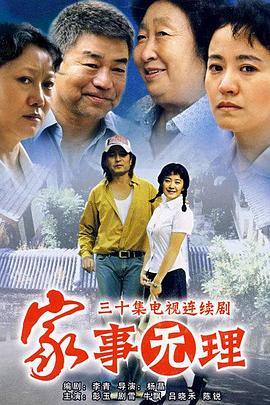 家事无理 2007 电视剧 海报