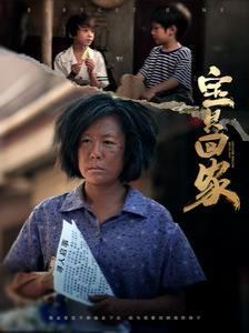 宝贝回家 2024 短剧 海报