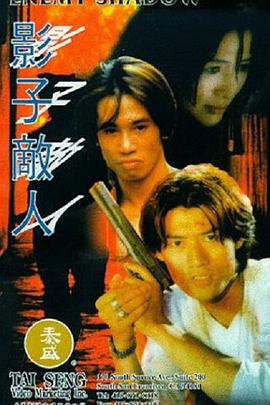 影子敌人 1995 电影 海报