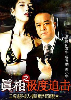 真相之极度追击 1993 电影 海报