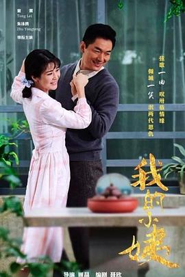 我的小姨 2017 电视剧 海报