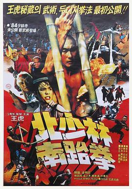 北少林南跆拳 1984 电影 海报