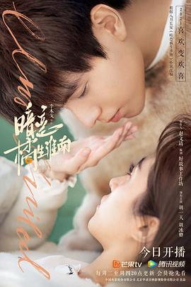 暗恋·橘生淮南 2021 电视剧 海报