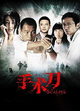 手术刀 2011 电视剧 海报