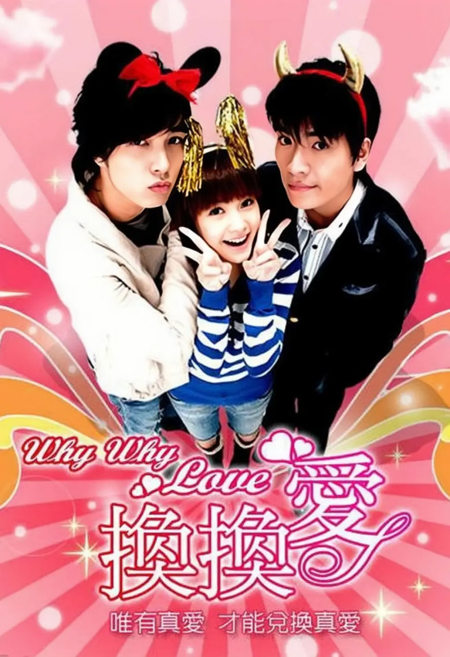 换换爱 2007 电视剧 海报