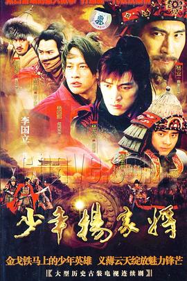 少年杨家将 2007 电视剧 海报