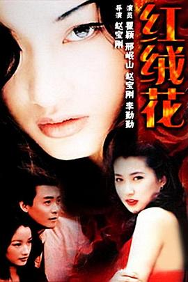 红绒花 1995 电视剧 海报