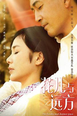 花儿与远方 2017 电视剧 海报