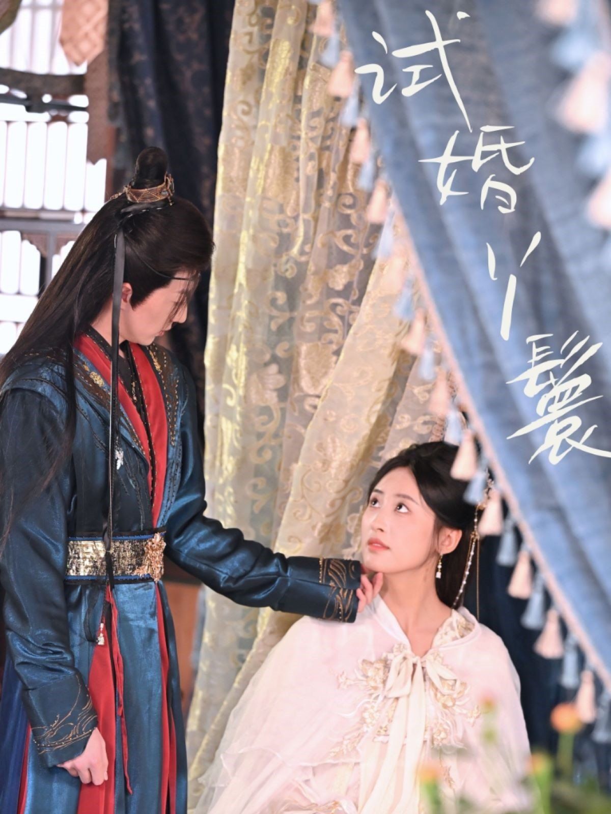 试婚丫鬟 2025 短剧 海报