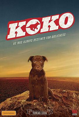 红犬历险记 2011 电影 海报
