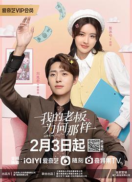 我的老板为何那样 2023 电视剧 海报