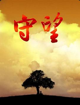 守望 2008 电视剧 海报