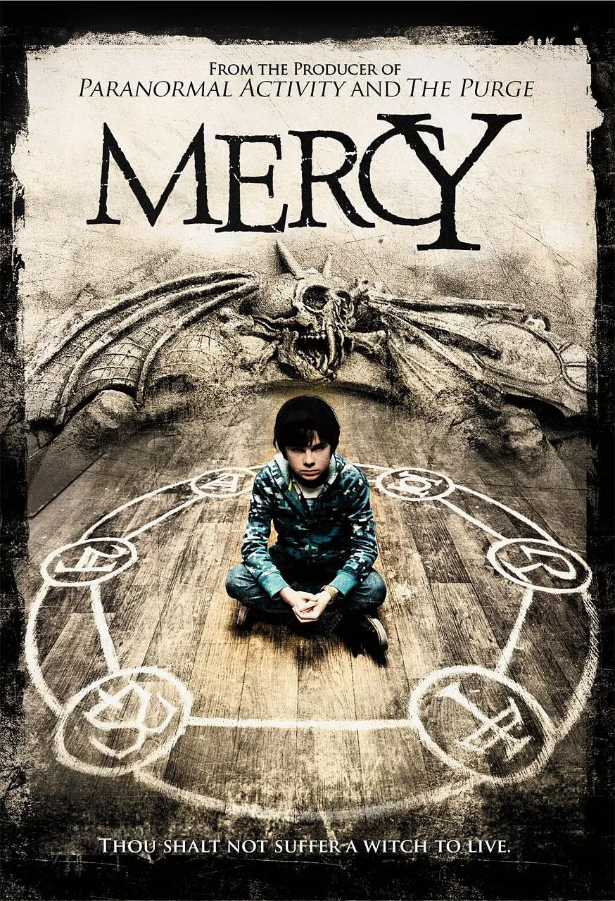 慈 Mercy 2014 2014 电影 海报