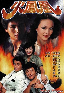 火凤凰粤语 1981 电视剧 海报