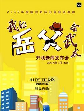 我的岳父会武术 2016 电视剧 海报