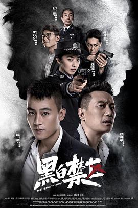 黑白禁区 2020 电视剧 海报