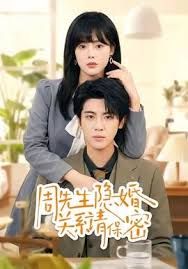 周先生隐婚关系请保密 2026 短剧 海报