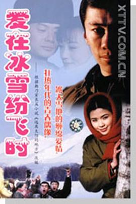 爱在冰雪纷飞时 2000 电视剧 海报